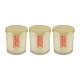 Load image into Gallery viewer, Essano - Build Your Own - Candle 3-Pack Bundle