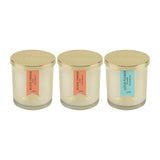 Load image into Gallery viewer, Essano - Build Your Own - Candle 3-Pack Bundle