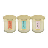 Load image into Gallery viewer, Essano - Build Your Own - Candle 3-Pack Bundle