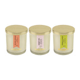 Load image into Gallery viewer, Essano - Build Your Own - Candle 3-Pack Bundle