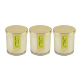 Load image into Gallery viewer, Essano - Build Your Own - Candle 3-Pack Bundle
