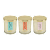 Load image into Gallery viewer, Essano - Build Your Own - Candle 3-Pack Bundle